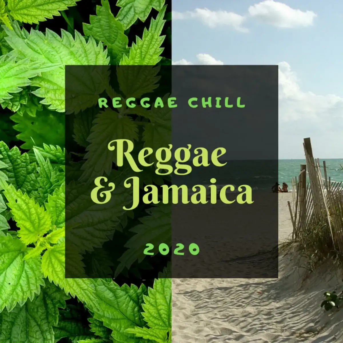 El género reggae consolida su dominio global mediante las diez listas con mayor tracción en el consumo digital — reporte NVVEX